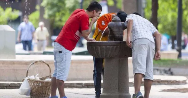 6624368f16380_600_315!