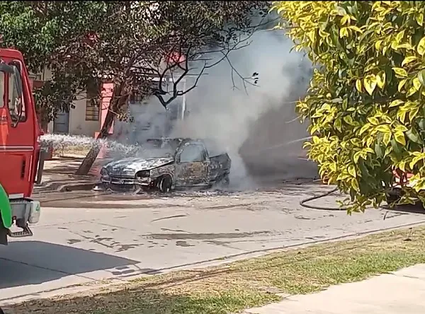 multimedia.miniatura.b03cb1202f14163f.bWluaWF0dXJhLndlYnA=