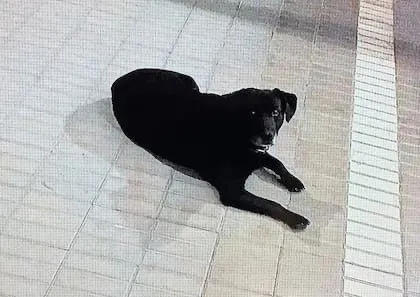 WhatsApp Image 2025-11-19 at 7.27.31 PM