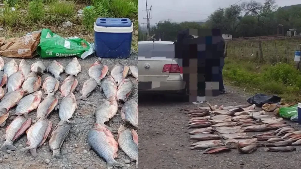 Copia de PORTADAS YOUTUBE - 2025-11-14T181720.301