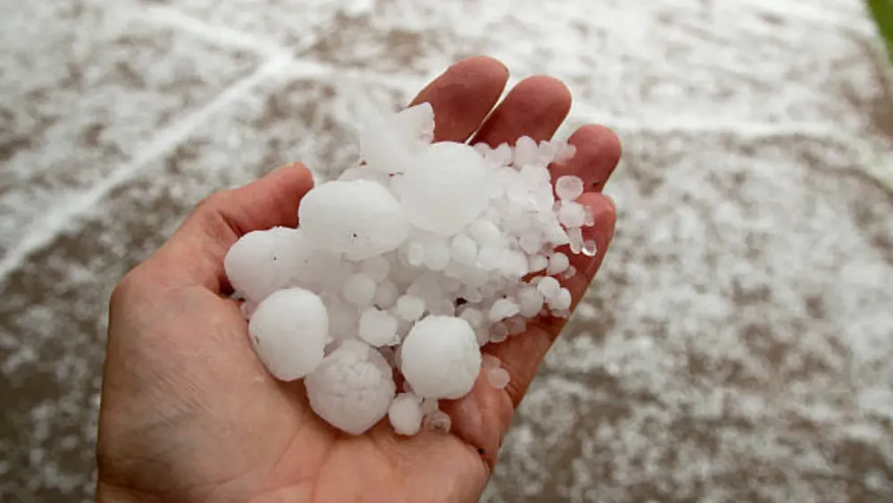 Copia de PORTADAS YOUTUBE (86)