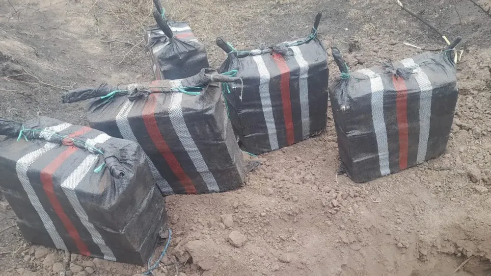 portada página web (2)