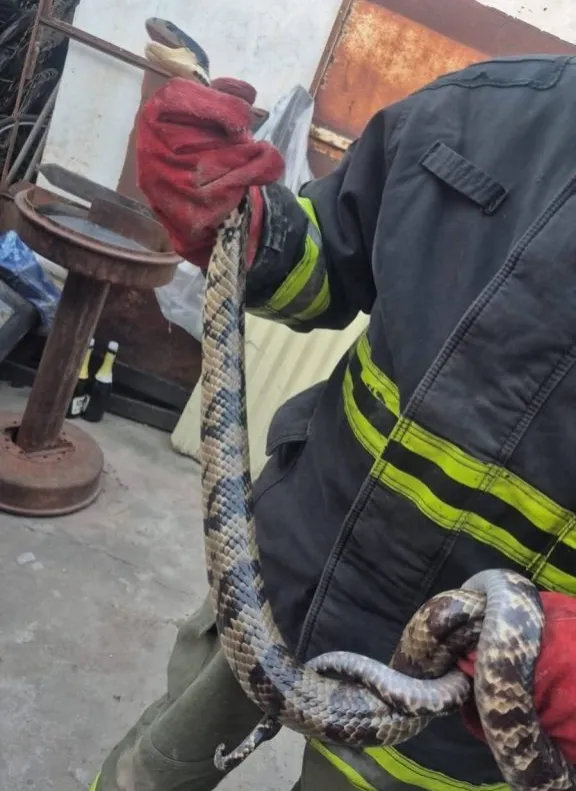 multimedia.normal.bdd972d0df3706cd.bm9ybWFsLndlYnA=