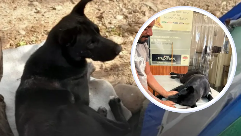 Copia de PORTADAS YOUTUBE (72)