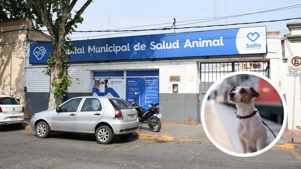 portada página web (12)