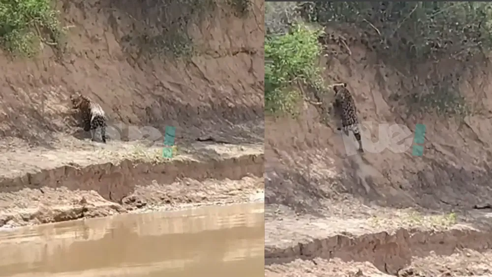 portada página web (4)