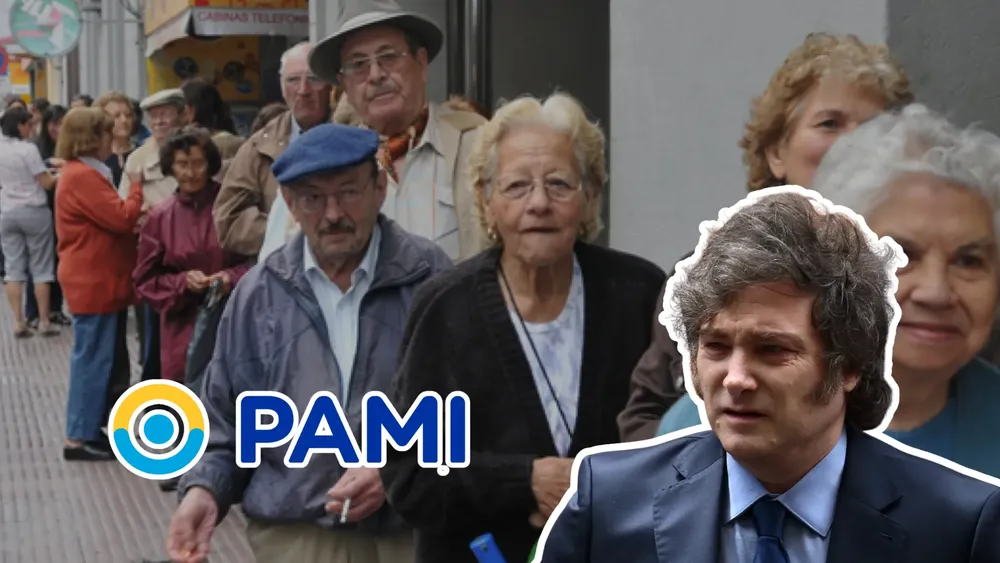 PAMI WEB