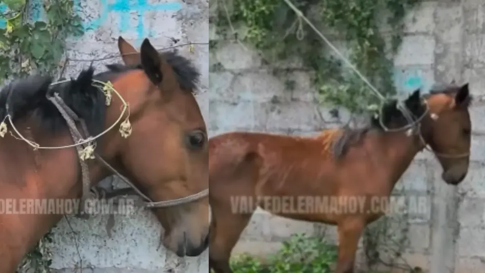 portada página web (21)