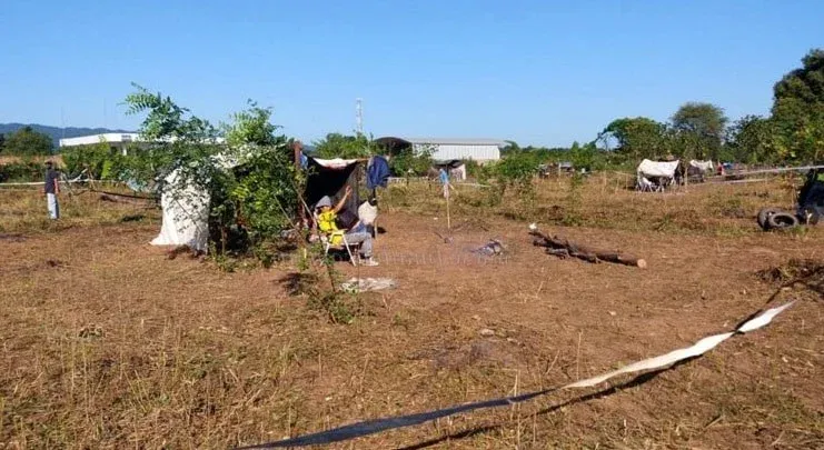 multimedia.normal.b9f791017ccbda0a.bm9ybWFsLndlYnA=