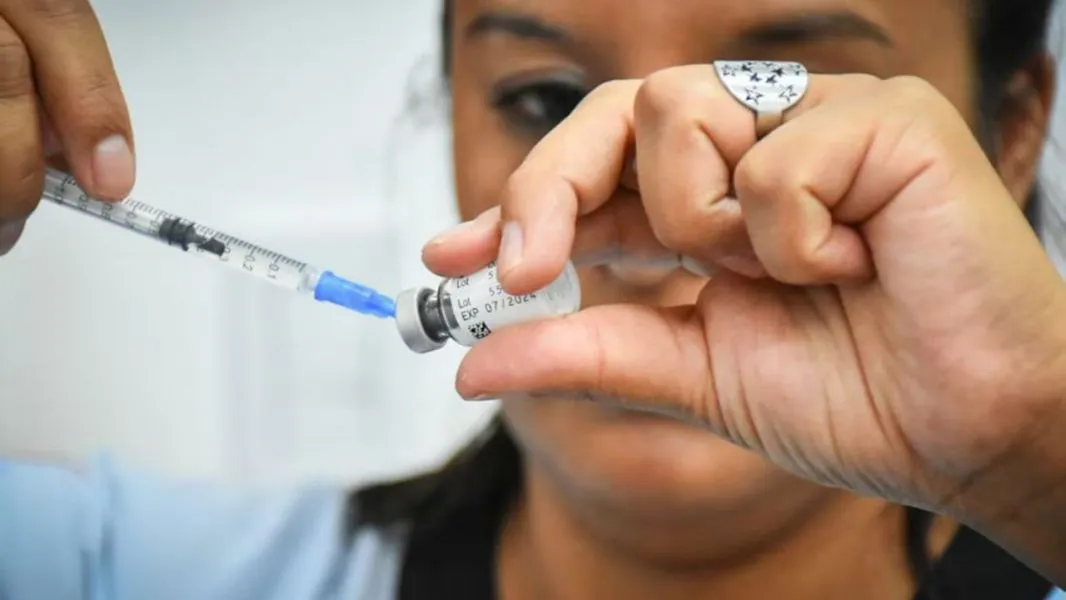 vacunacion vacunacion