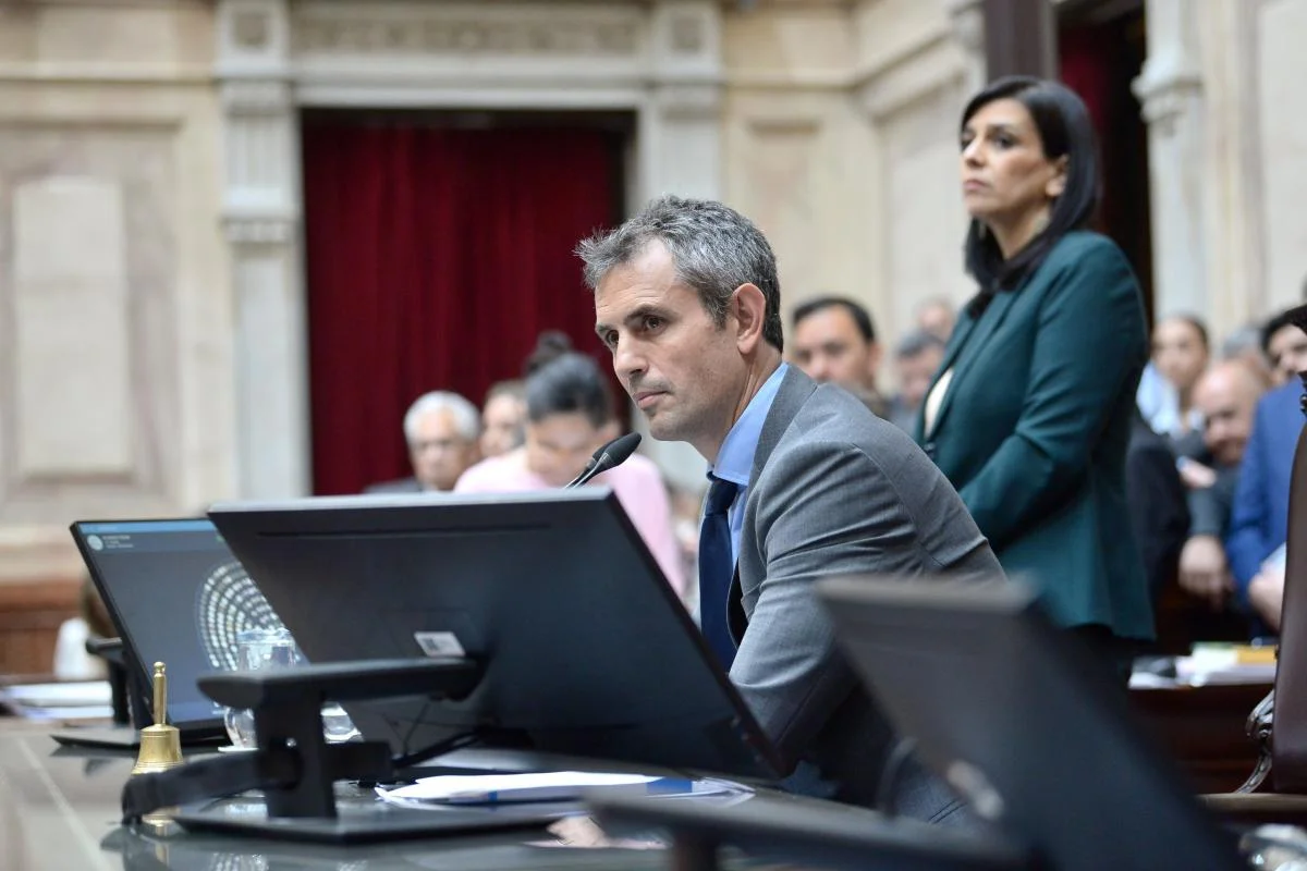 presidente-camara-diputados-martin-menem-1022585-074502