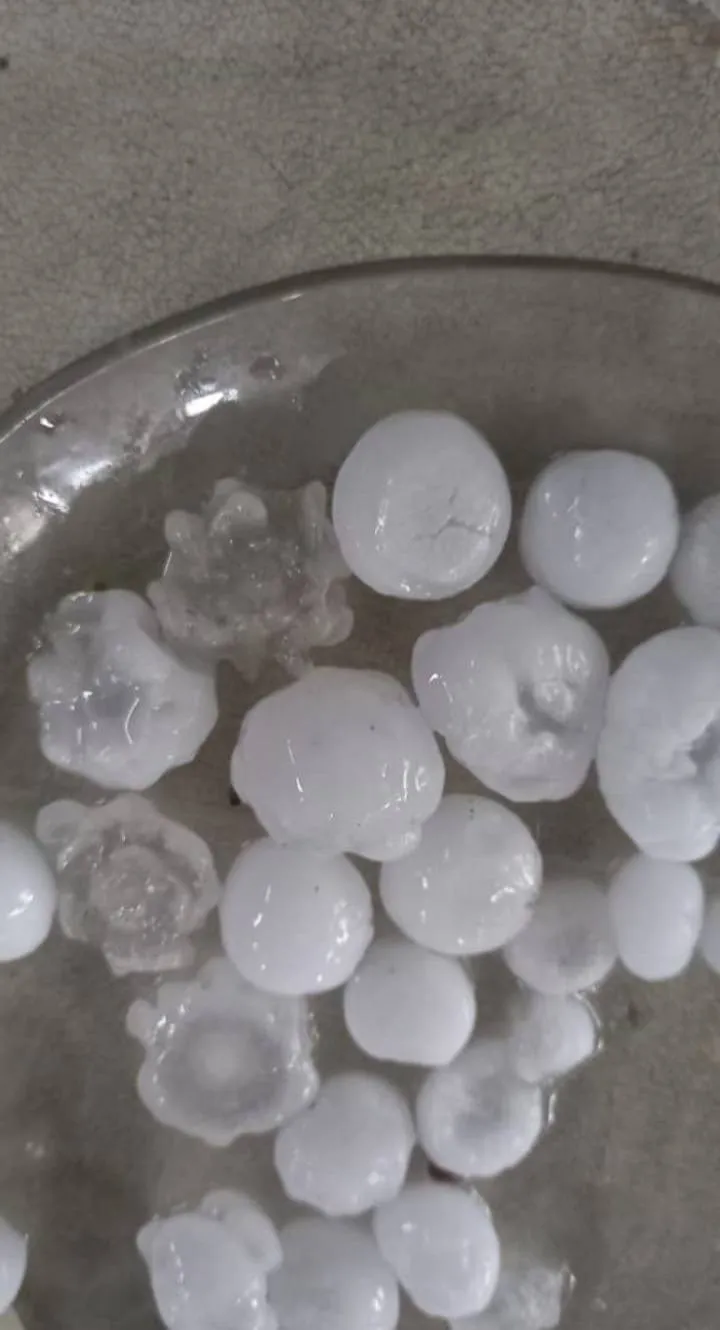 592183227_1254653990016306_7735678780705134542_n