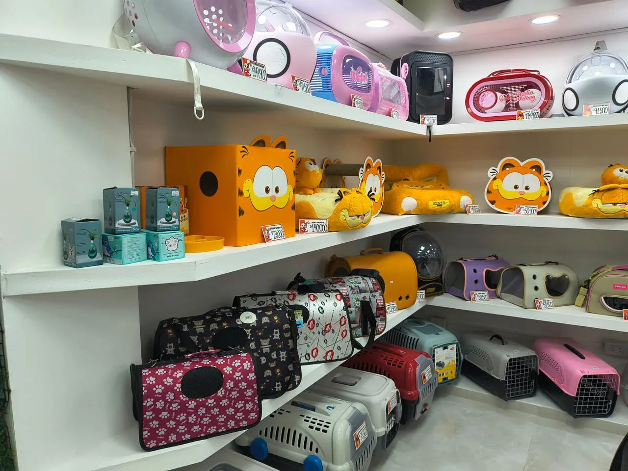 WhatsApp Image 2026-02-20 at 11.20.41