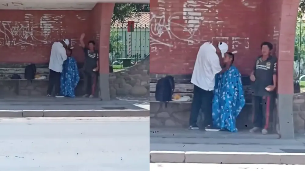 portada página web (2)