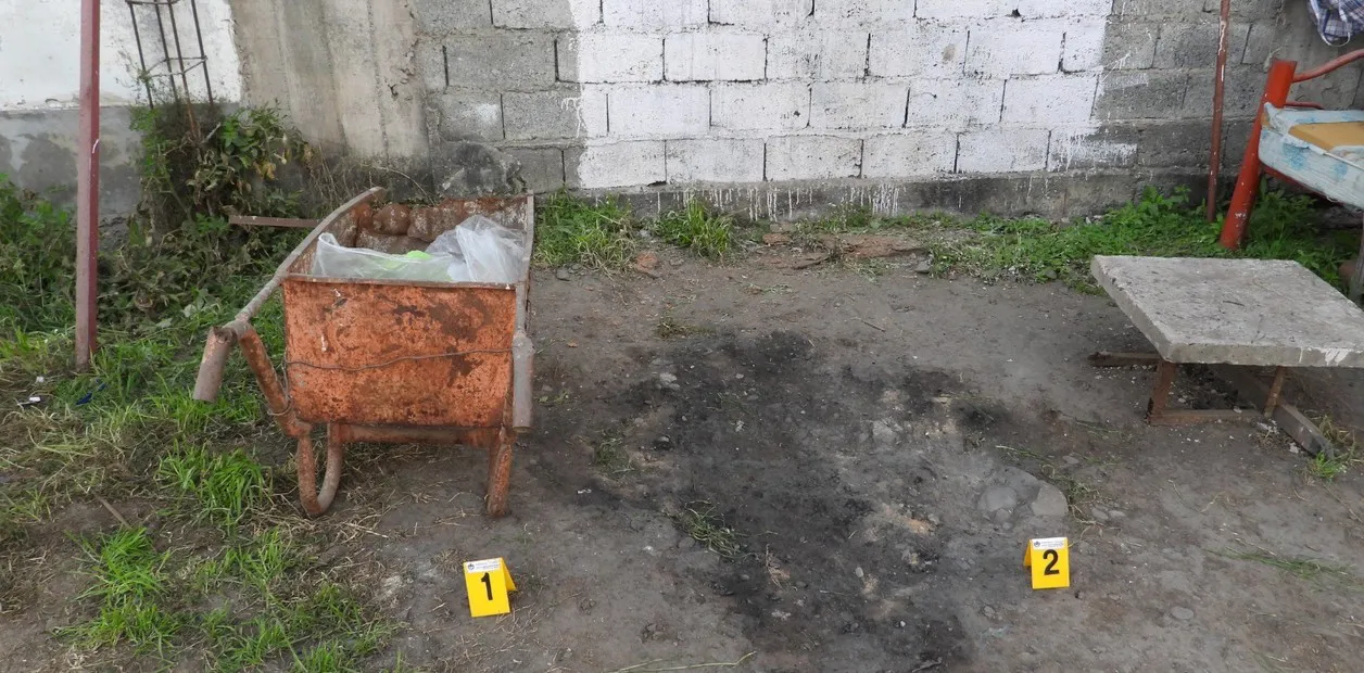 -DFTpe89O_1256x620__1