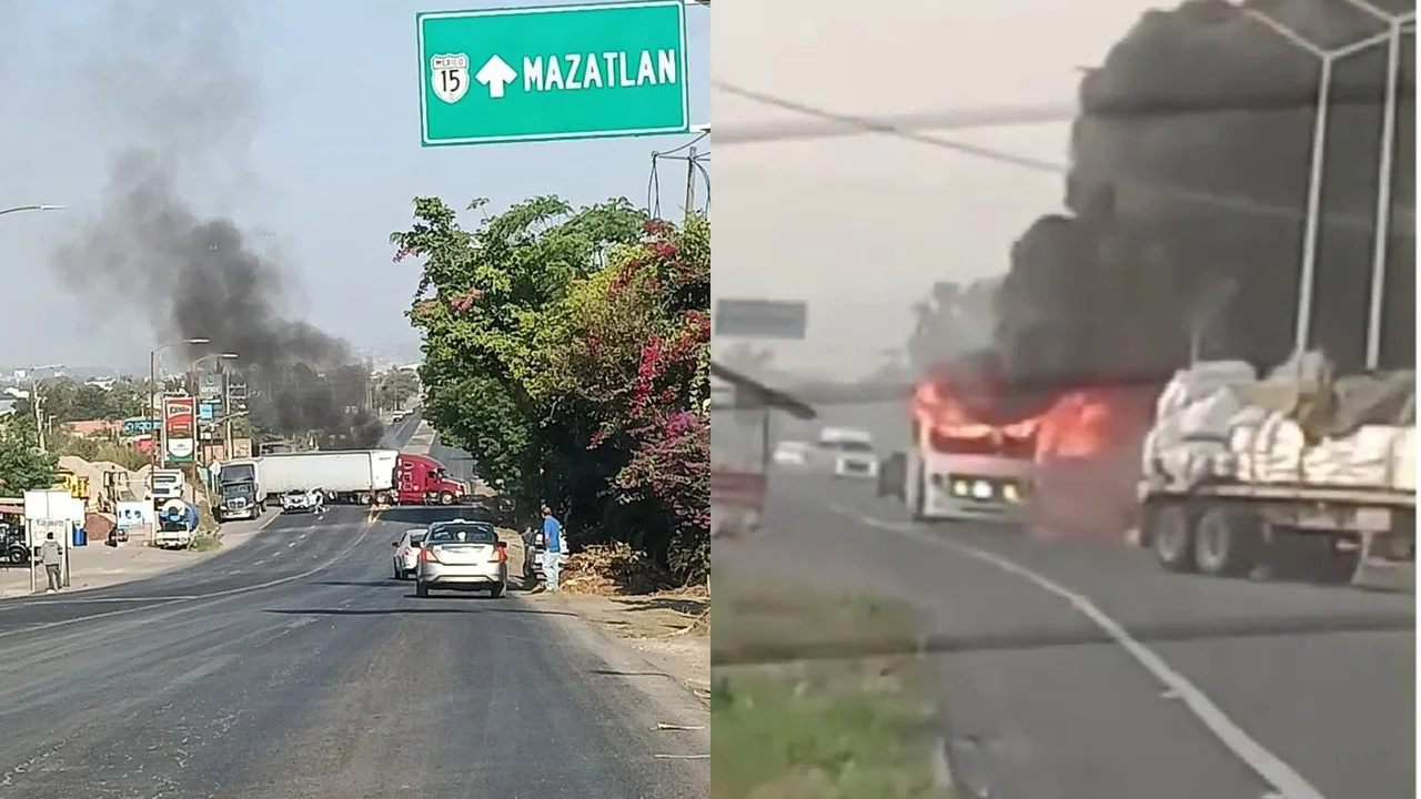 multimedia.normal.bb3bad70969cc1c5.bm9ybWFsLndlYnA=