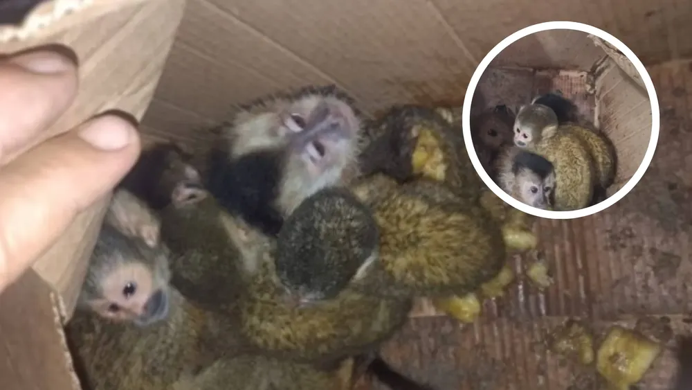 portada página web (13)