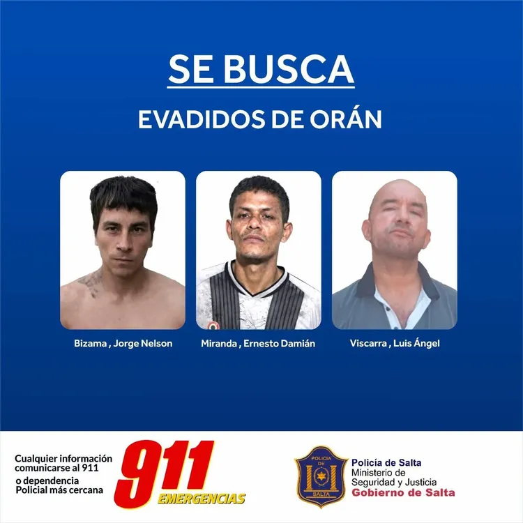 WhatsApp Image 2026-02-15 at 18.37.28