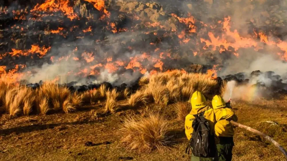 Copia de PORTADAS YOUTUBE - 2026-01-05T192941.814