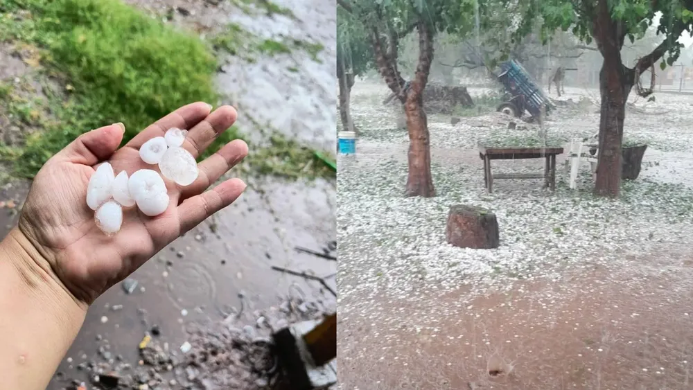 portada página web (4)