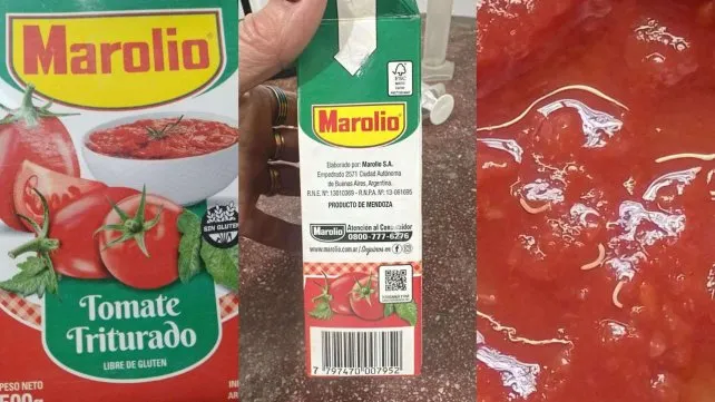 2025-08-18-marolio