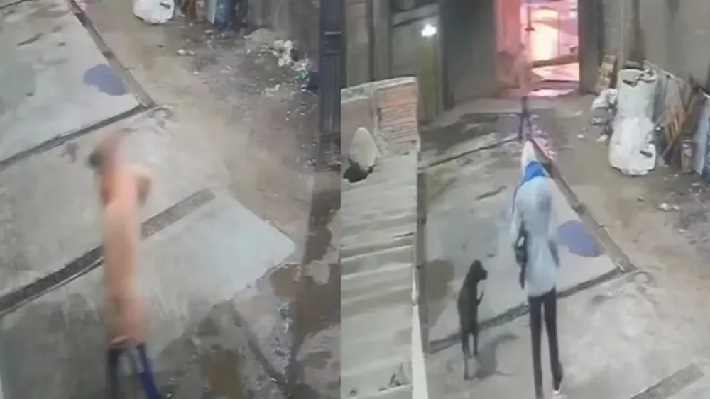 portada página web (18)