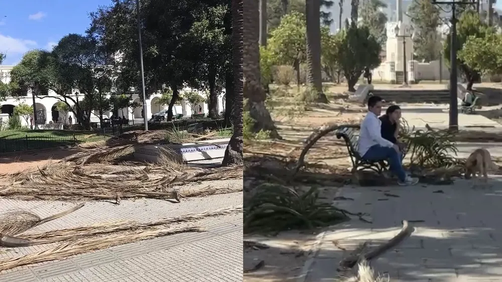 Copia de PORTADAS YOUTUBE (52)