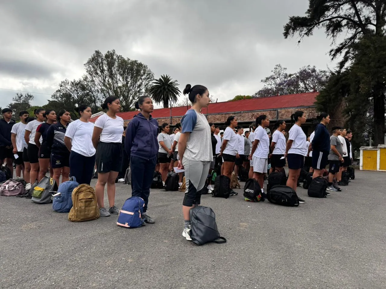 multimedia.normal.8a156bbac1d99492.bm9ybWFsLndlYnA=