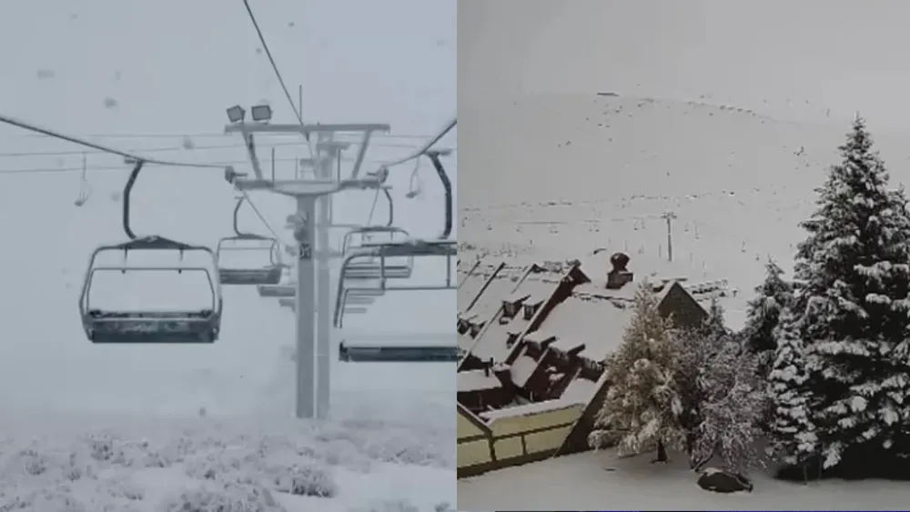 portada página web (8)