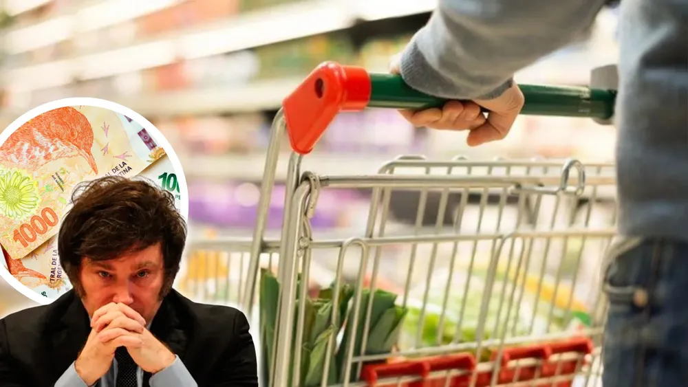 portada página web (3)