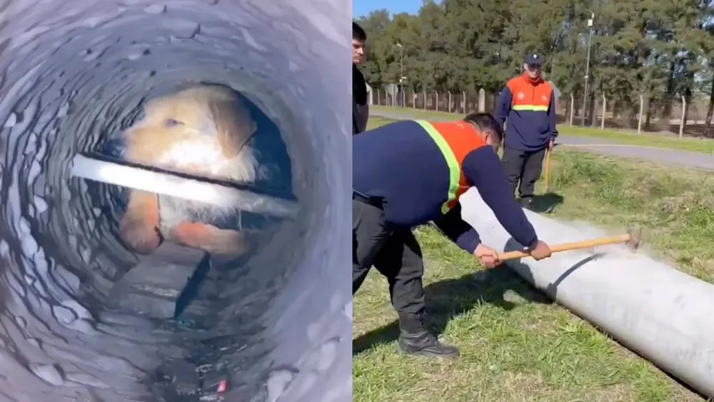 portada página web (3)