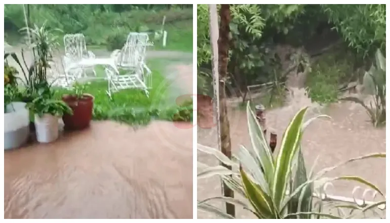 multimedia.normal.9e3f5661f8c54cdb.bm9ybWFsLndlYnA=