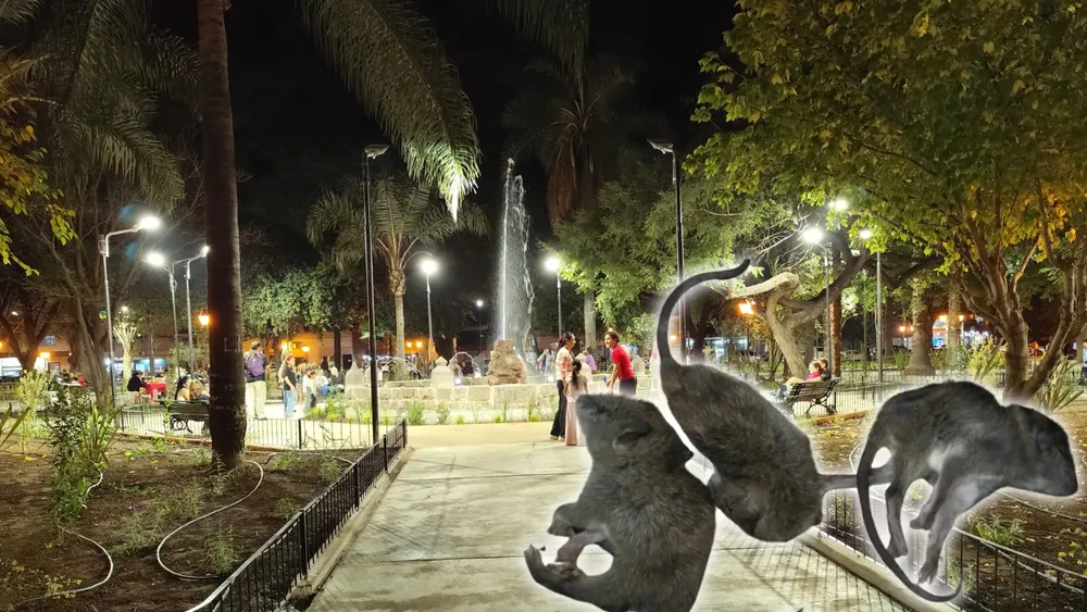 Copia de PORTADAS YOUTUBE - 2026-01-05T192236.598