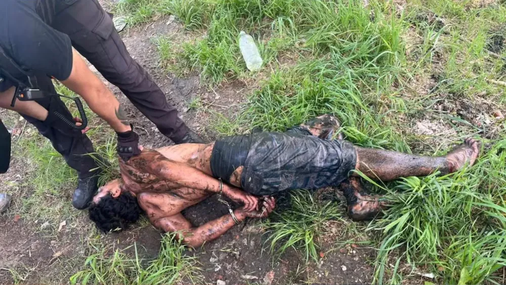 portada página web (1)