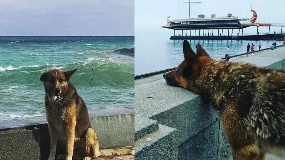 Copia de PORTADAS YOUTUBE (36)