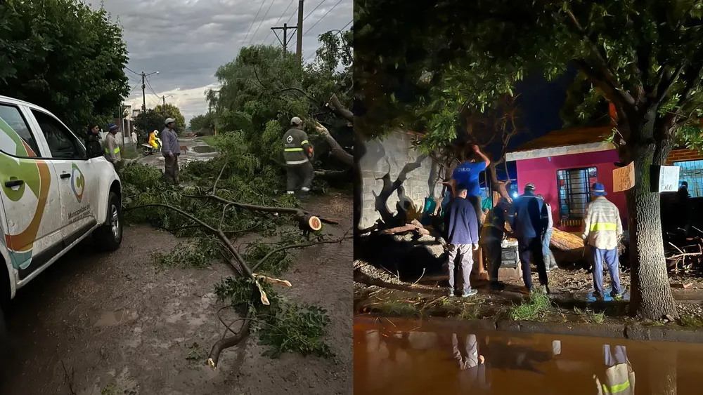 portada página web (1)