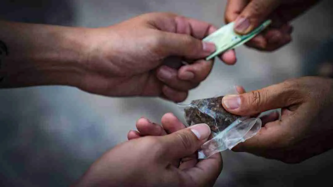 Delito-de-trafico-de-drogas