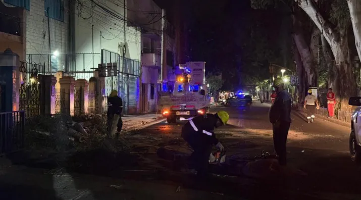 697c8daac757f_715_396!