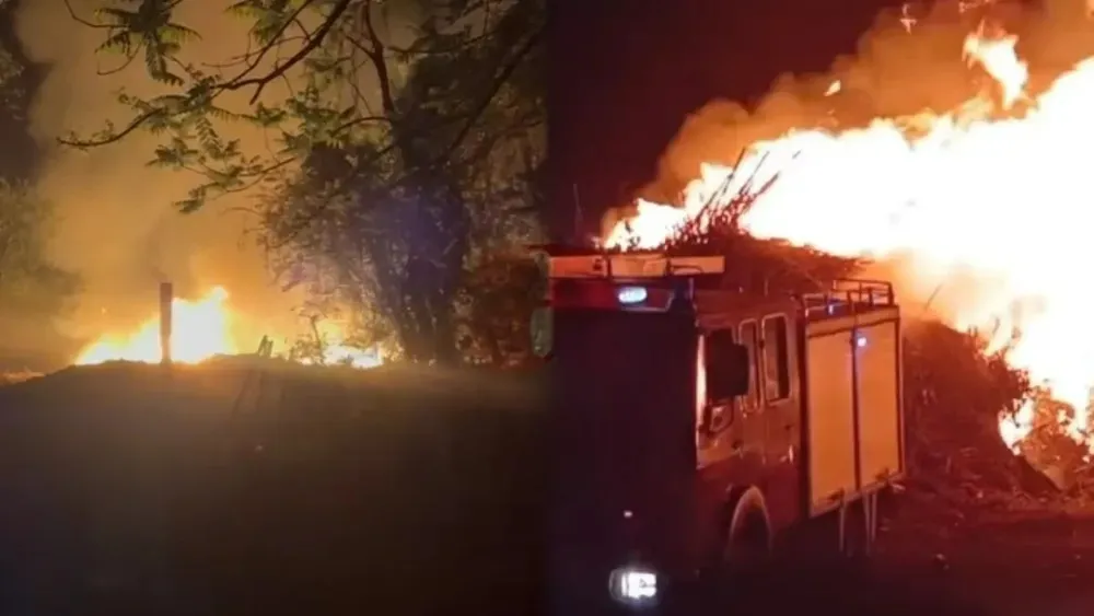 DeWatermark.ai_1760535792709