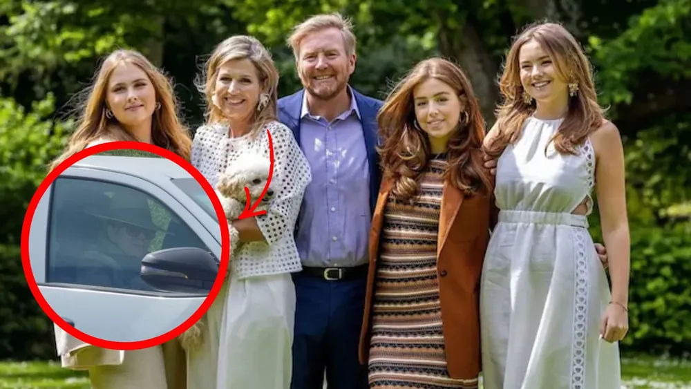 portada página web (5)