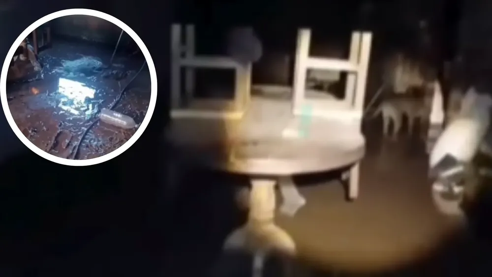 portada página web (28)