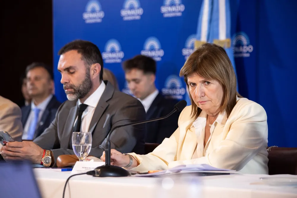 BULLRICH SENADO