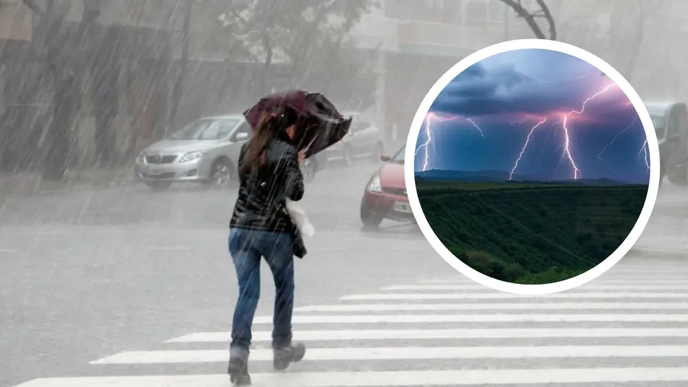 portada página web (9)