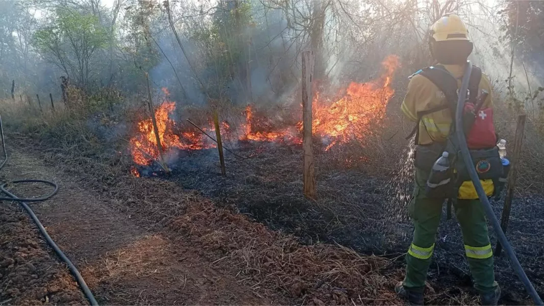 multimedia.normal.a8741c26f0274ff8.bm9ybWFsLndlYnA=