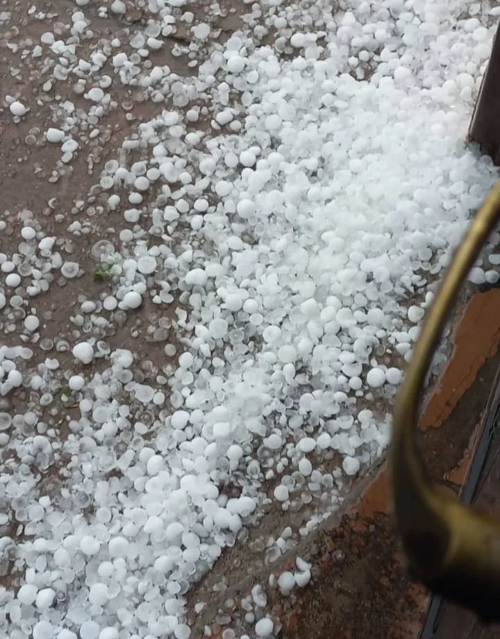 592054776_1254654036682968_5985178689798962391_n