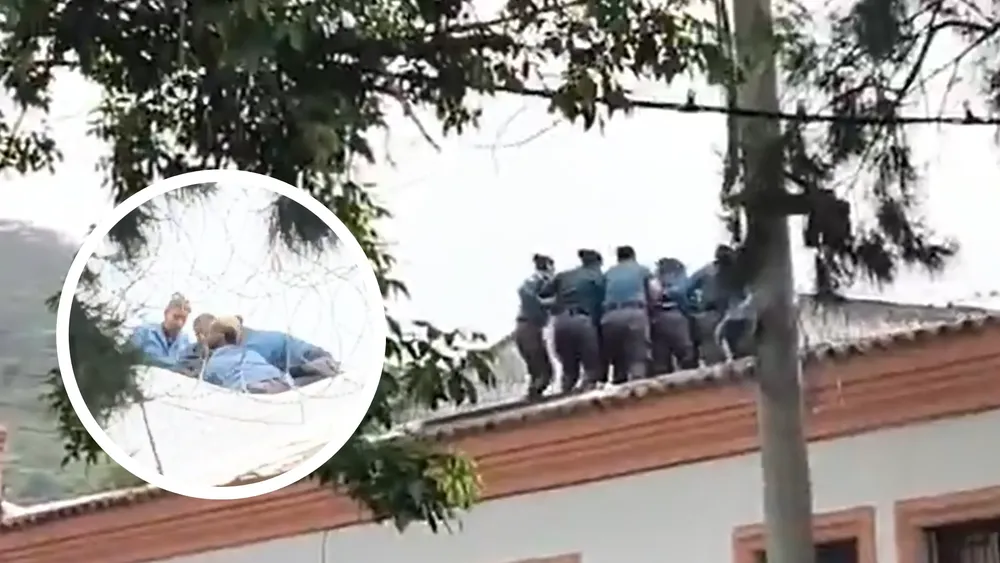 portada página web (3)