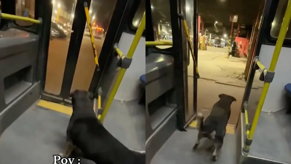 portada página web (2)