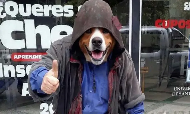 multimedia.normal.adbe4a9ec579a18f.bm9ybWFsLndlYnA=