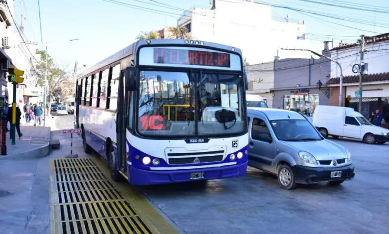 87258-saeta-pidio-llevar-el-boleto-de-colectivo-a-74357-780x470
