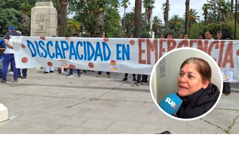 discapacidad portada